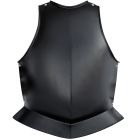 Plastic Body Protection